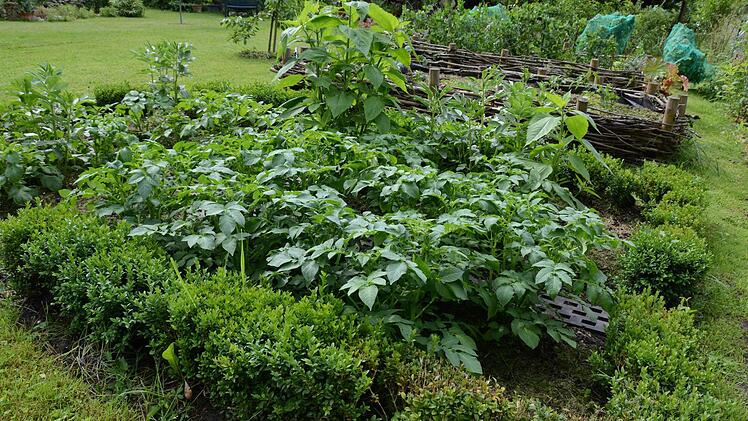 Ein Garten macht immer auch Arbeit, vor allem dann, wenn man dort auch etwas ernten möchte. Das ist nicht jedermanns Sache. Foto: Dagmar Besand
