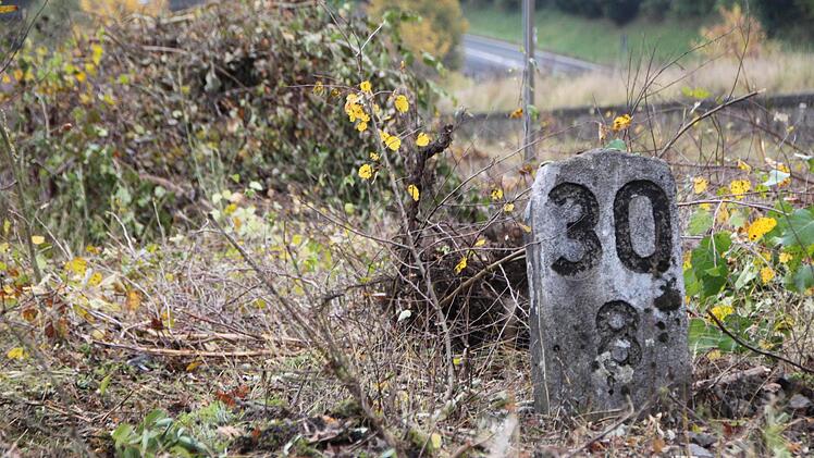 Die Kilometersteine lassen die Gleisrückbauer stehen - als Andenken. Foto: Ulrike Müller
