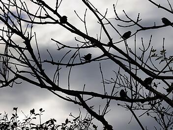 Wechselhaftes März-Wetter