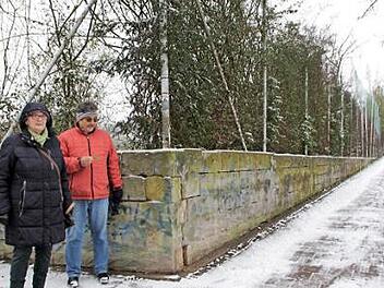 Über die Hecke an dem Hartplatz gehen die Meinungen im Stadtrat auseinander.  Foto: Andreas Dorsch (Archiv)