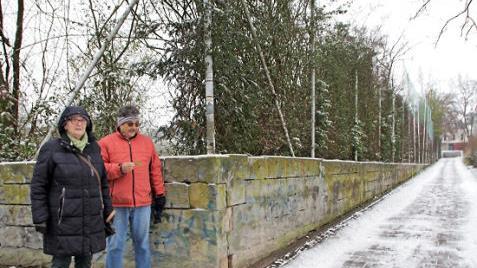 Über die Hecke an dem Hartplatz gehen die Meinungen im Stadtrat auseinander.  Foto: Andreas Dorsch (Archiv)