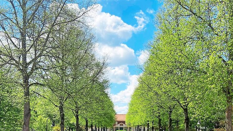 Der Kurpark ist für die Besucher bereit.