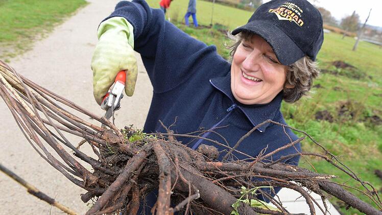 Karin Dengler-Schreiber mit einer besonders großen Wurzel Foto: Ronald Rinklef