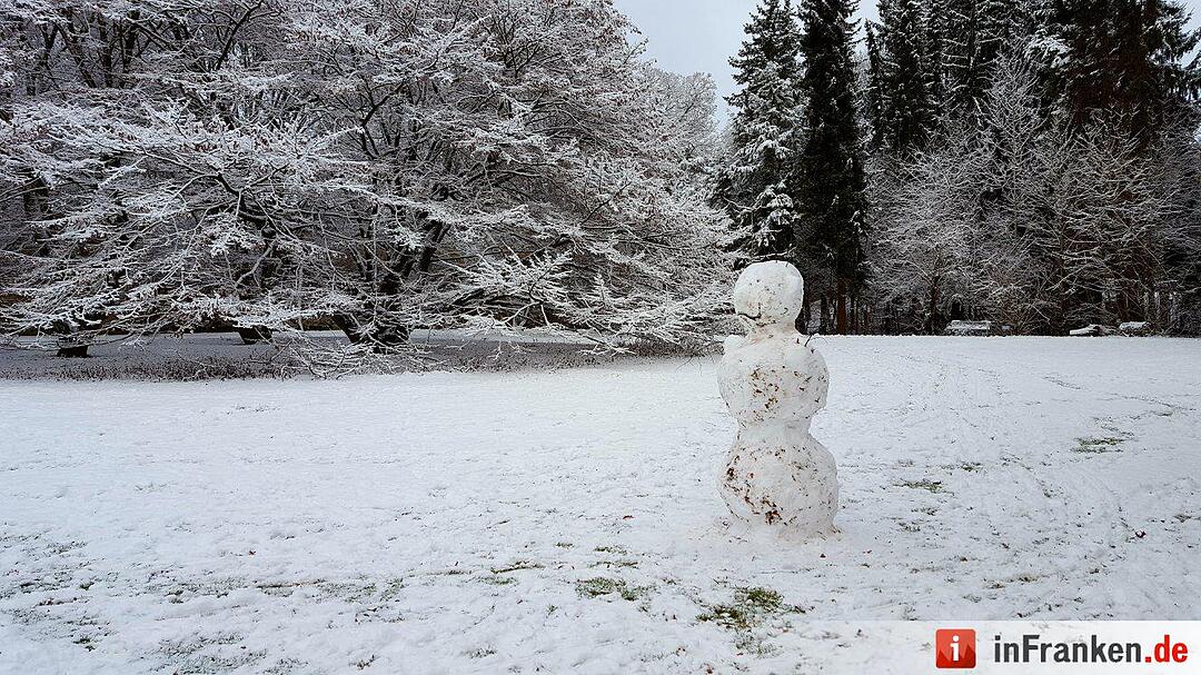 Schnee in Franken Januar 2017 - Leserfotos