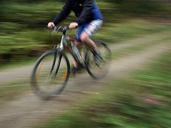 Radfahrer bei Ausweichman&ouml;ver im F&uuml;rther Stadtpark schwer gest&uuml;rzt - Zeugensuche.  Oliver Berg, dpa