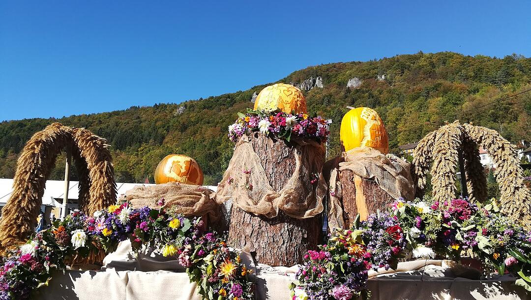 Die schönsten Herbstfotos aus Forchheim und Umgebung
