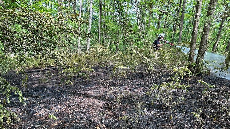 Waldbrand in Bamberg - Feuerwehr &uuml;ber Stunden im Einsatz
