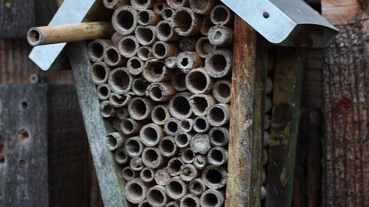 Sulzthal: Neben den vielen Beeten findet sich Platz für ein Insektenhotel.  Foto: Robert Huger