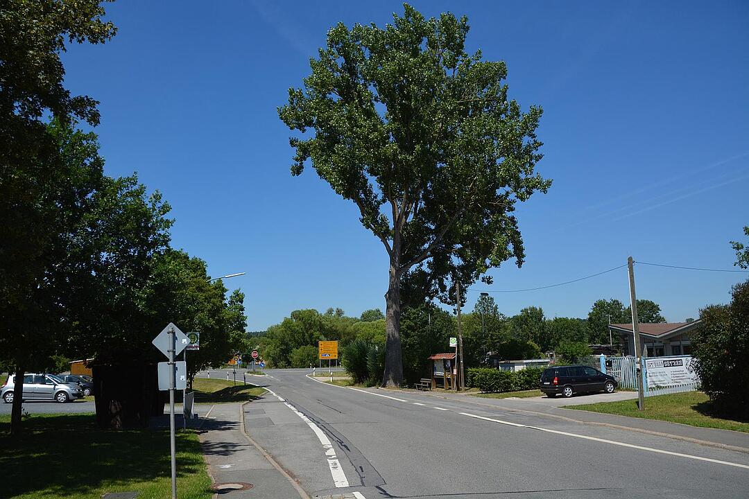 05.08.2015 Fotoreportage Rossach