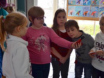 Angehende Energiedetektive bei der Arbeit im Schulhaus: Hier sind Marie (von rechts), Amke, Stelle, Nico und Laura dabei, zu überprüfen, ob der Flur ausreichend Tageslicht bekommt und ob das elektrische Licht zu hell oder zu dunkel ist.  Foto: Kathrin Kupka-Hahn