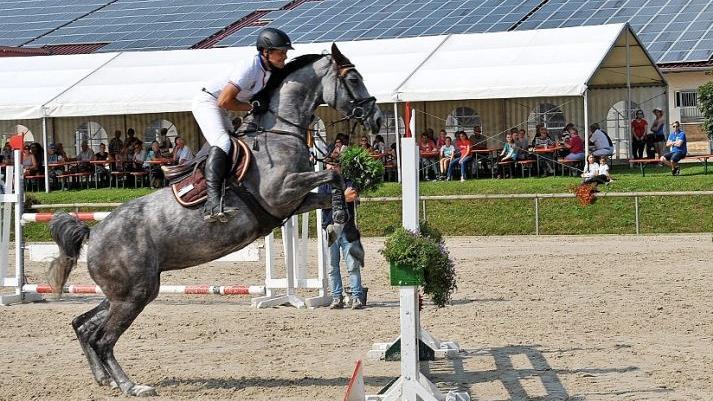 rei Tage lang ging es in Gro&szlig;bardorf um Bestleistungen bei den Springpr&uuml;fungen.  Foto: Vossenkaul