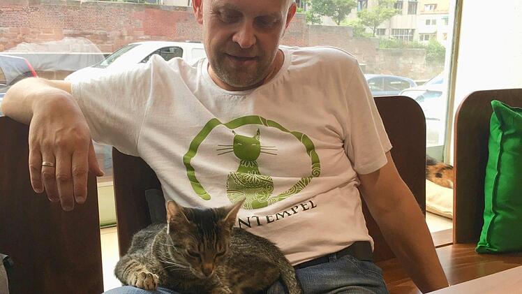 Wolfgang Bayer hat gerettete Katzen zu kuscheligen Mitgliedern seines Lokal-Teams gemacht.