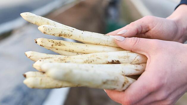 Für die Spargelernte war der 24. Juni der letzte Termin. Foto: dpa