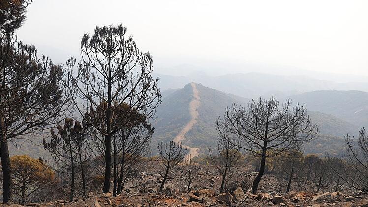Waldbrand in Spanien