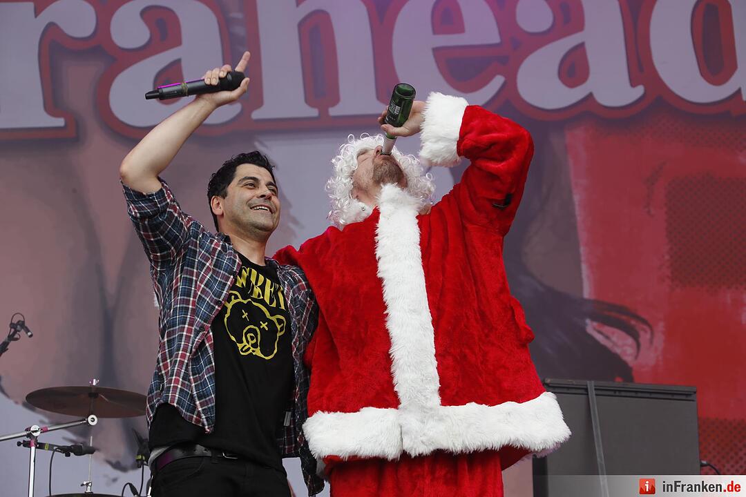 RIP15 - Zebrahead