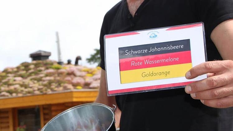Saunameister Peter Diller zeigt die Deutschland-Karte; bei den Aufgüssen gibt es besondere Noten in Schwarz-Rot-Gelb: Schwarze Johannisbeere, rote Wassermelone und Goldorange. Foto: Matthias Einwag