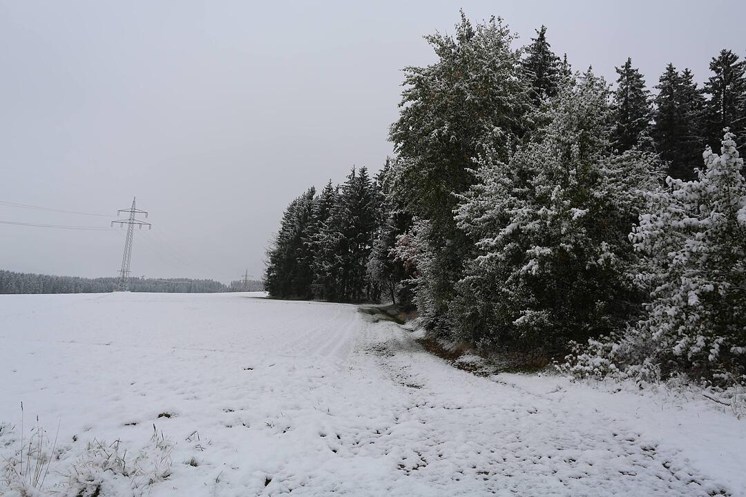 Erster Schneefall in Oberfranken