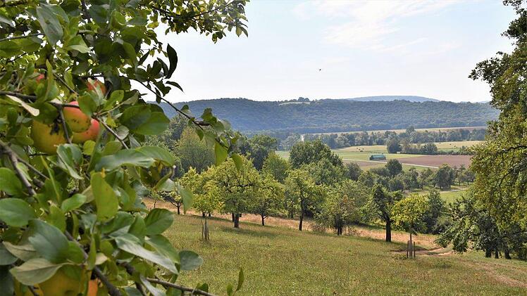 Fast 6,7 Hektar Streuobstwiese bei Großenbrach (Bad Bocklet) werden im Rahmen des zertifizierten Naturschutzprojekts bearbeitet. Foto: Anna-Lena Bieneck