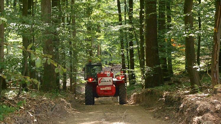 Großbaustelle im Wald: die Arbeiten für den BaumwipfelpfadFoto: Walter Hanslok