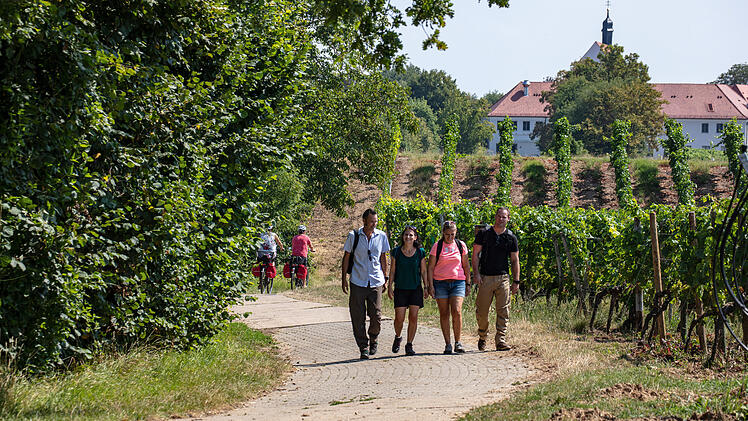 Weinwandern in Franken: Wandern bei der Vogelsburg