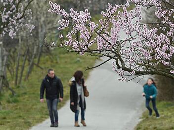 Symbolfoto: dpa