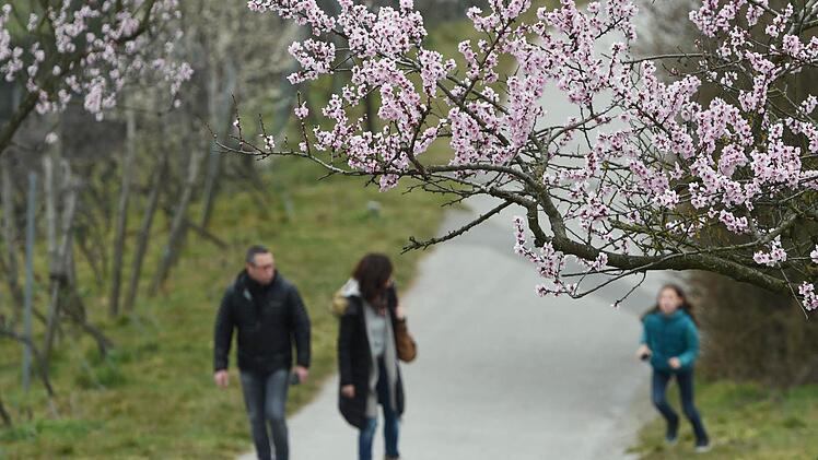 Symbolfoto: dpa
