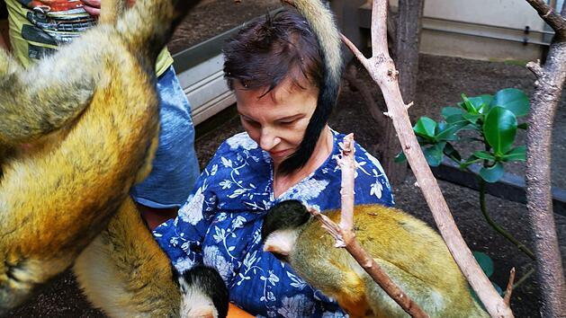 Im Tiergarten N&uuml;rnberg wird Herta ihr letzter Wunsch erf&uuml;llt. Foto: ASB