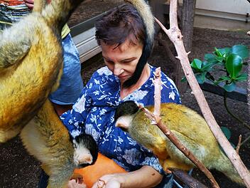 Im Tiergarten N&uuml;rnberg wird Herta ihr letzter Wunsch erf&uuml;llt. Foto: ASB