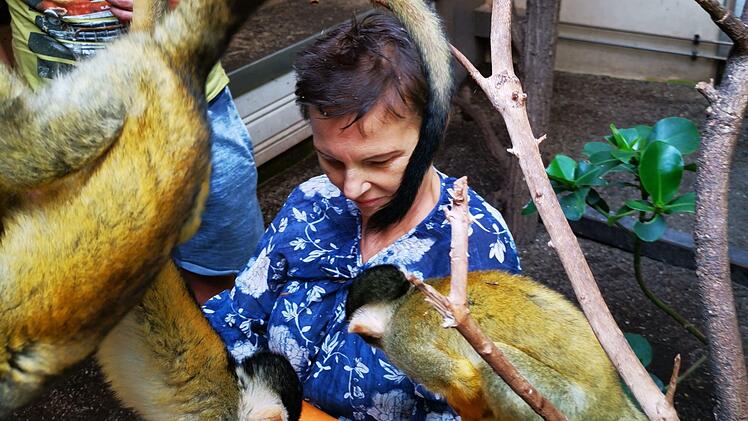 Im Tiergarten Nürnberg wird Herta ihr letzter Wunsch erfüllt. Foto: ASB