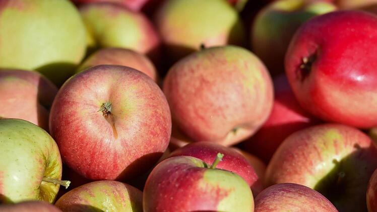 Bei manchen Sorten sollte mit dem Pflücken nicht mehr länger gewartet werden, da überreife Äpfel, vor allem aber Birnen, nicht so gut lagerfähig sind.Symbolbild: Patrick Pleul/dpa