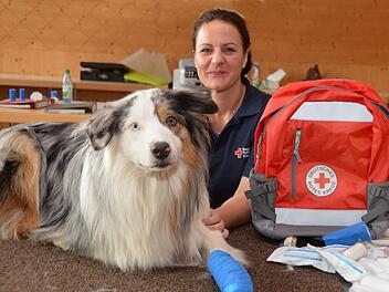 Kenai, ein zweijähriger Australien Shepherd spielt das "Opfer" beim Kurs "Erste Hilfe am Hund". Kursleiterin Nicole Bub  wiederholt wegen der großen Nachfrage den Kurs im September. Peter Rauch
