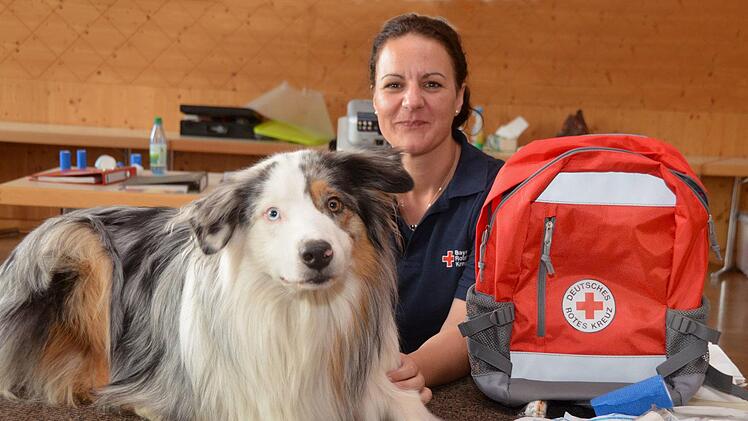 Kenai, ein zweijähriger Australien Shepherd spielt das "Opfer" beim Kurs "Erste Hilfe am Hund". Kursleiterin Nicole Bub  wiederholt wegen der großen Nachfrage den Kurs im September. Peter Rauch