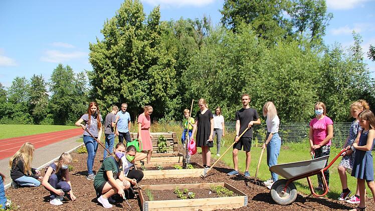 An zwei Tagen in der Woche, jeweils in der Mittagspause, treffen sich seit diesem Sommer Schüler zum Wahlkurs "Schulgarten" am Schönborn-Gymnasium. Foto: Heike Beudert