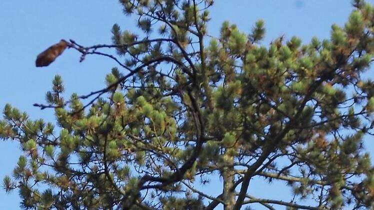 Ein Arbeitsplatz, an dem man schwindelfrei sein muss.