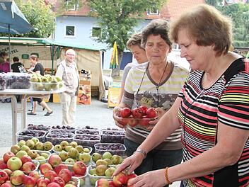 Äpfel, Zwetschgen, Birnen, blaue Trauben - die Ernte war gut, freut sich Helene Fiedler auf dem Bauernmarkt Stadtsteinach.  Foto: Sonja Adam