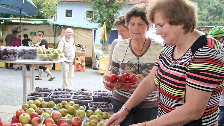 Äpfel, Zwetschgen, Birnen, blaue Trauben - die Ernte war gut, freut sich Helene Fiedler auf dem Bauernmarkt Stadtsteinach.  Foto: Sonja Adam