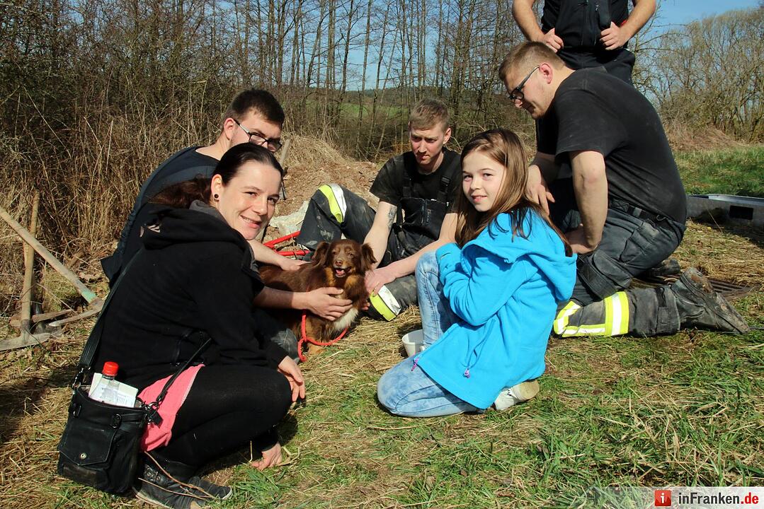 Hunderettung in Seßlach