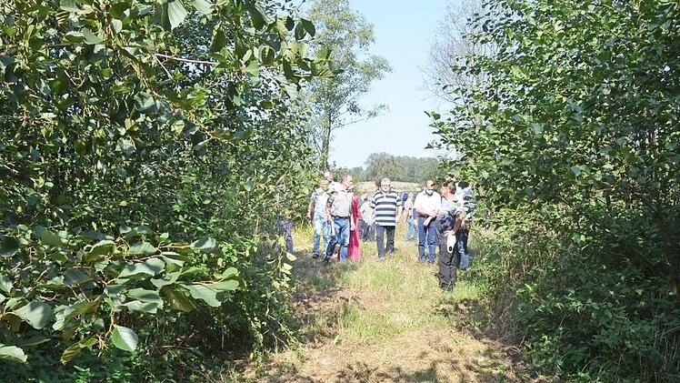 Die Erfahrungen mit einem Energiewald der LWF nahe Waldsachsen ermutigen die Stadträte bei ihrer Besichtigung (großes Foto), über diese Form der Nutzung auf eigenen Flächen nachzudenken. 2005 wurde die Versuchsfläche noch in Handarbeit abgeerntet (rechts unten), 2017 kamen moderne Erntemaschinen zum Einsatz (links). Fotos: Rainer Lutz/Berthold Köhler