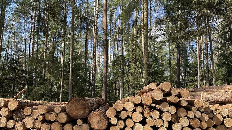 Forchheim: Burker Wald in Kürze gesperrt - Lebensgefahr droht