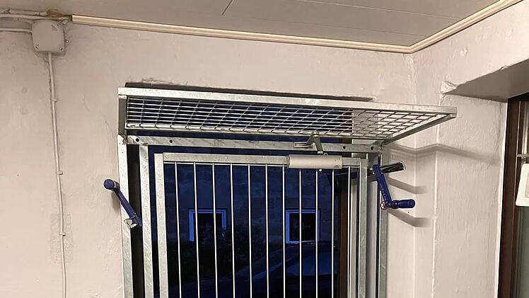 Zapfendorf: Entlaufener Hund Christo nach rund vier Monaten entdeckt - "Happy End"