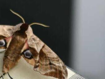 FT-Foto: Barbara Herbst
