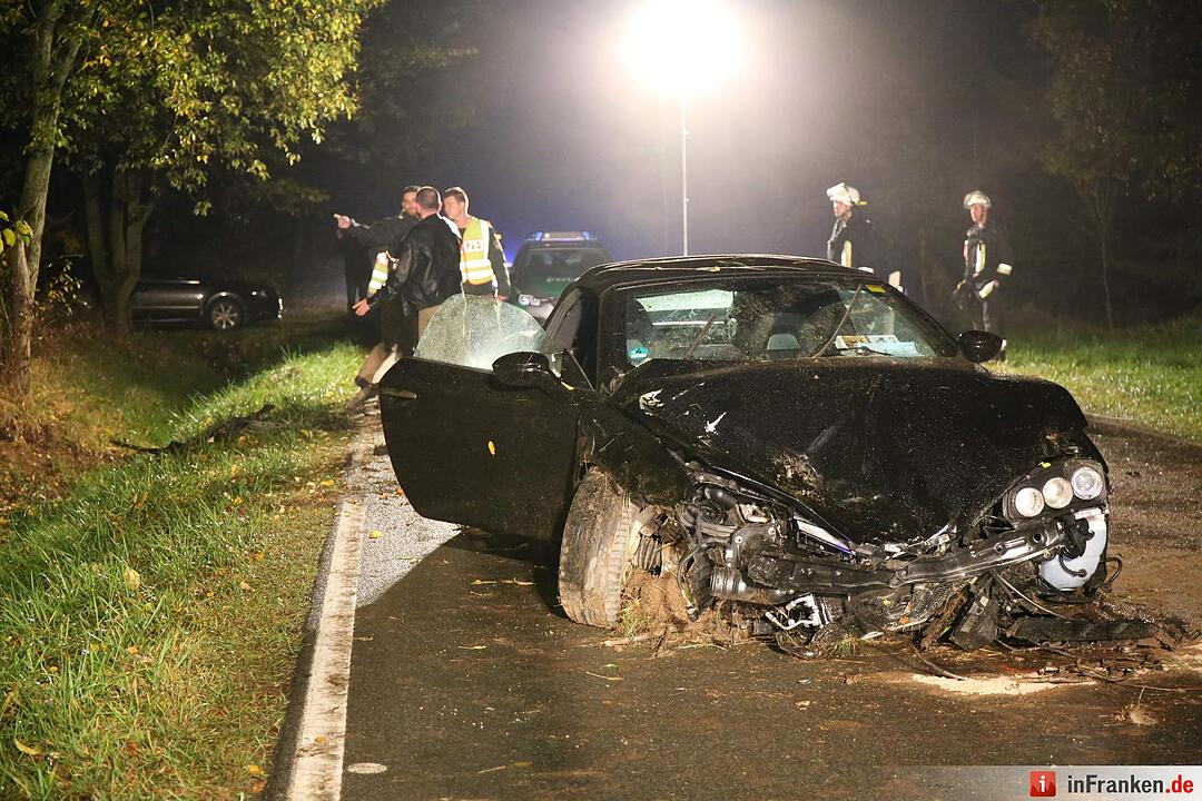 Alfa schleudert im Kreis Hof gegen Bäume