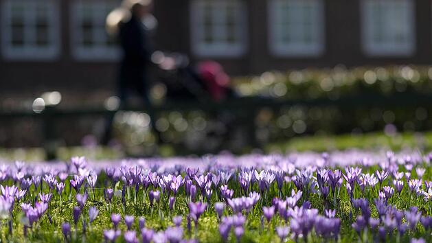 MIt dem Fr&uuml;hlingsanfang beginnt das Bl&uuml;hen in den G&auml;rten - die perfekte Zeit f&uuml;r ausgiebige Spazierg&auml;nge. Symbolbild: Axel Heimken/dpa