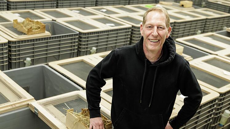 Feldhamster-Nachzucht