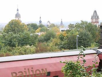 Vor allem die Güterzüge machen den Anliegern am Eselsberg zu schaffen.  Foto: Paulus