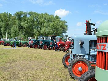 Die Oldtimer stehen in Reih‘ und Glied, bevor die Rundfahrt beginnt.  Foto: Sina Mattheus