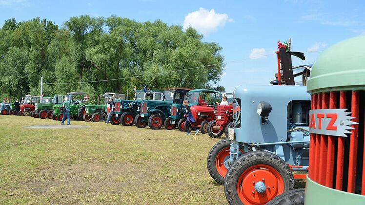 Die Oldtimer stehen in Reih‘ und Glied, bevor die Rundfahrt beginnt.  Foto: Sina Mattheus