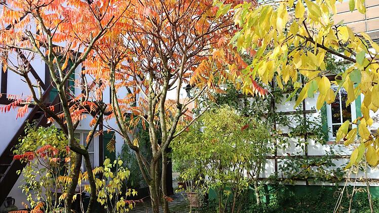 Im Naturgarten finden sich viele einheimische Pflanzen.   Foto: Sigrun Hannemann