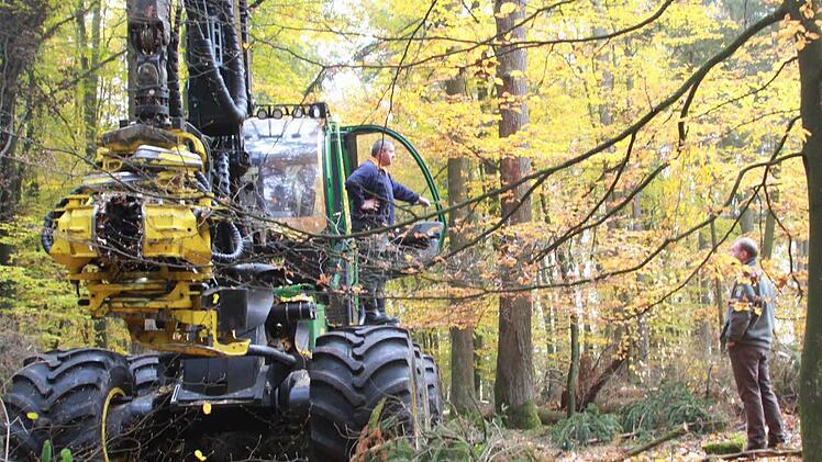 Stadtförster Alexander Maunz erklärt, warum ein Rundumschlag dem Wald neue Kraft verleiht und warum Kroatien für den Kissinger "Wald der Zukunft" Vorbild sein kann. Foto: Carmen Schmitt