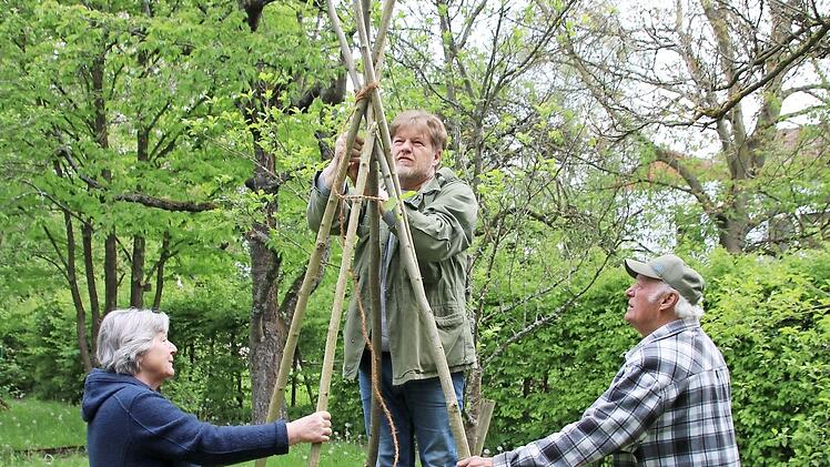 Gabi Grunwald, Pater Braun und Hans Petsch stellen eine Rankhilfe für die Bohnen auf, die den Bienen als Nahrung dienen sollen.  Foto: Thomas Malz